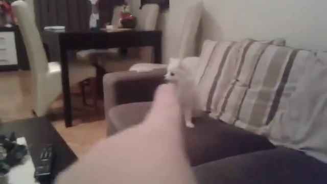 Ker mi gleda u televizor смотреть онлайн