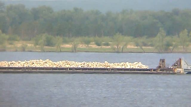 2531 + Волгарь-36 смотреть онлайн