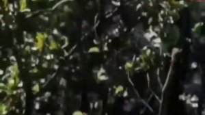 Романс "Десятая часть" из к/ф "Захочу — полюблю"