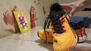 обзор кроссовок карбоновых Puma Deviate Nitro2.