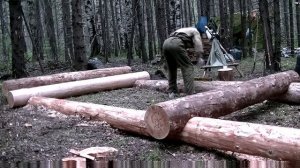 Как построить избушку 1/сруб/заготовка мха/Мох сфагнум/1Венец избушки