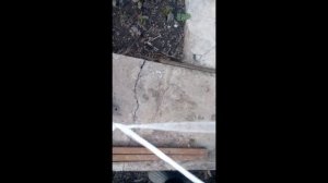 Самодельная верёвка для привязи КРС.