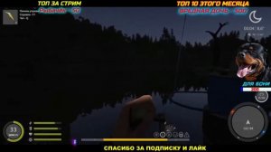 ФОРЕЛЬ ТРОФЕЙНАЯ Оз. КУОРИ фарм 🔴 РУССКАЯ РЫБАЛКА 4 /Russian Fishing 4 / РР4