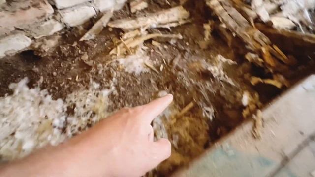 Новый пол своими руками! КАК СДЕЛАТЬ пол за 3 часа! DIY
