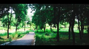 Мирноград(Димитров)