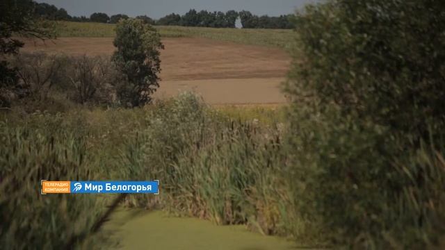 «Дикое поле». История Нелидки (15.08.2017) смотреть онлайн