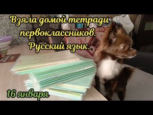 Взяла тетрадки первоклассников по русскому языку на проверку