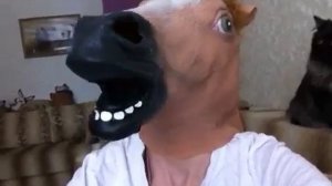 Маска лошади