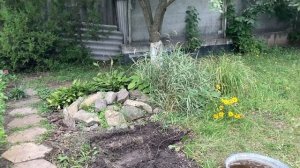 Персик-нектарин?? интересное дерево ?