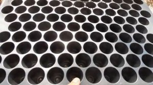 polystyrene seed trays | polystyrene seedling trays | plastic propagation trays