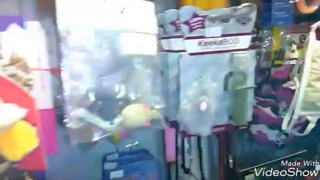 Магазин Birma Pets смотреть онлайн