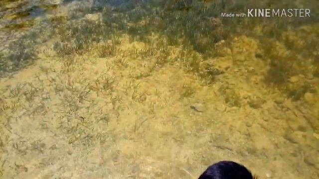 Surigao Beach Philippines смотреть онлайн