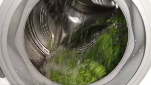 Experiment - Peas - in my Washing Machine - centrifuge