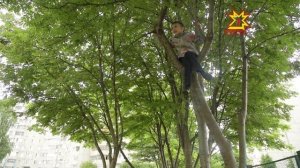 Социальный  ролик "Просто мама"