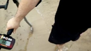 Металлоискатель Fisher F22 тест на водонепроницаемость