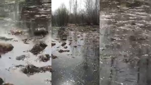 УАЗы и Гусеничный вездеход, покатушки"очко дьявола"??☺ #болото #вездеход #offroad #покатушки #уаз