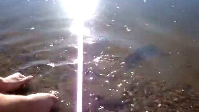 Отпускаю стерлядь смотреть онлайн