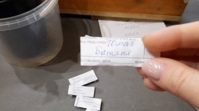 Новиночки семян в моей коллекции ???