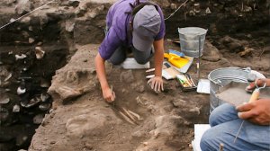 Археологи раскопали в Сибири кости мамонтов и орудия древних людей возрастом более 30 тысяч лет