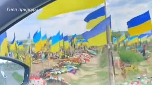 Кладбища в Украине переполнены погибшими солдатами