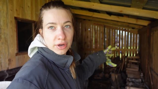 ПРИЕХАЛИ, а в доме +6! Дачные развлечения: ГРЯДКИ, ГРЯДКИ, ШАШЛЫКИ | Vlog 16/21 смотреть онлайн