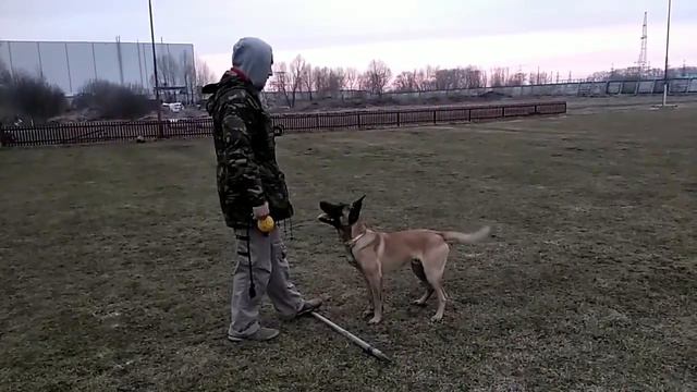 249. СИДЕТЬ, ЛЕЖАТЬ, СТОЯТЬ, демонстрация навыка с двух месяцев до года смотреть онлайн