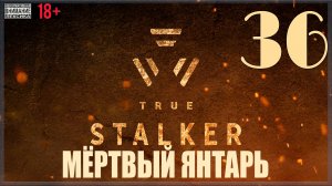 ☢ True Stalker | S.T.A.L.K.E.R. CoP mod #36 Мёртвый Янтарь