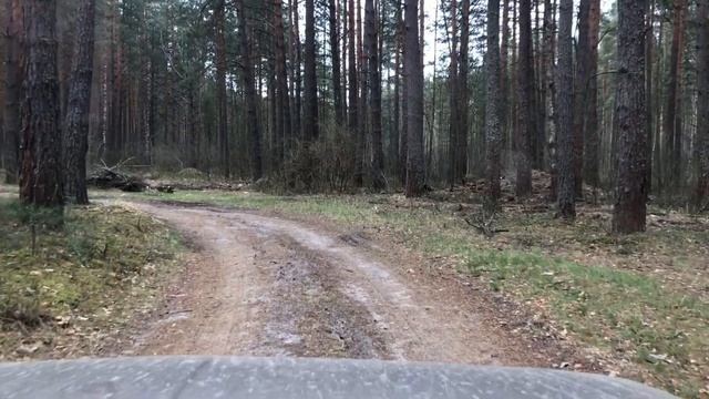 МЕТАЛЛОЛОМ. Сколько можно заработать?