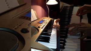 CASIO WK-3300