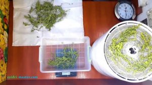 Сушка рукколы – 2 кг