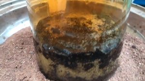 Извлекаем ЗОЛОТО из  4х сторонних чипов --МИКС