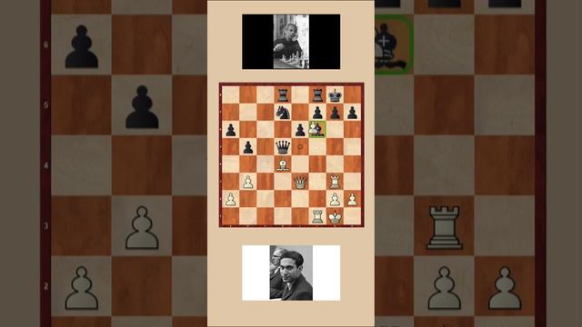 || Scheveningen Sicilian || Mikhail Tal vs Ulf Andersson