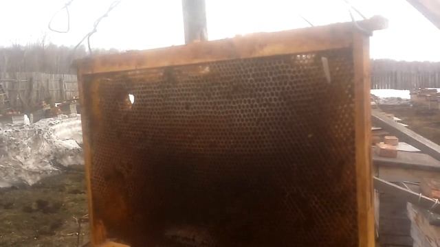 Рассказ-Про Апирой-Треноги-шесты.Для привития роёв.Как поступать. смотреть онлайн