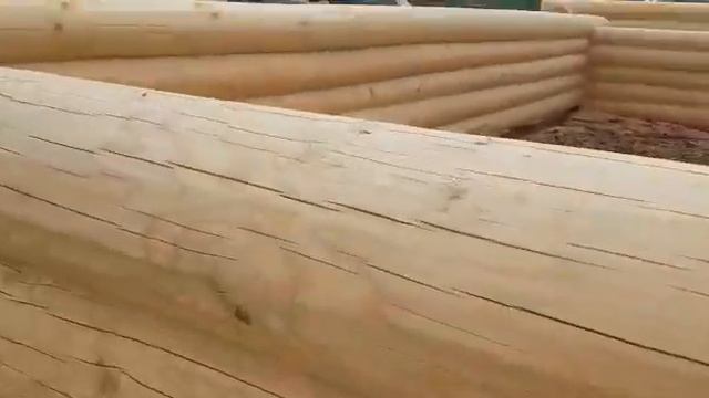 Пример сруба 12х12 в чашу. Делаем большие срубы 12х15, 15х15 и более - СмолДом смотреть онлайн