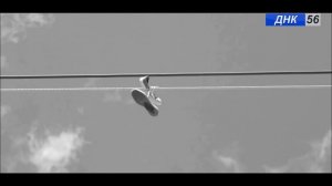 Новости за апрель от ДНК 56