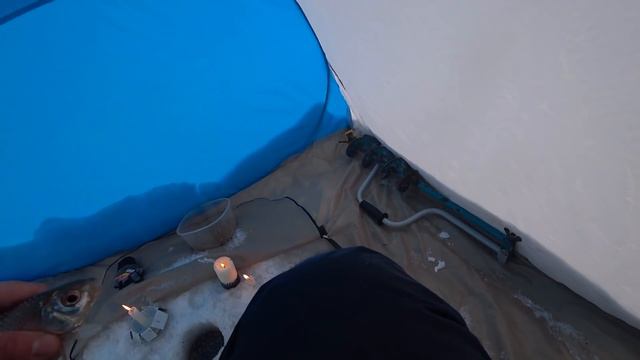 Зимняя рыбалка! Вот это плотва! Ловля на мормышку.