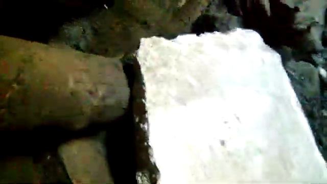 Куры прячут яйца ! смотреть онлайн