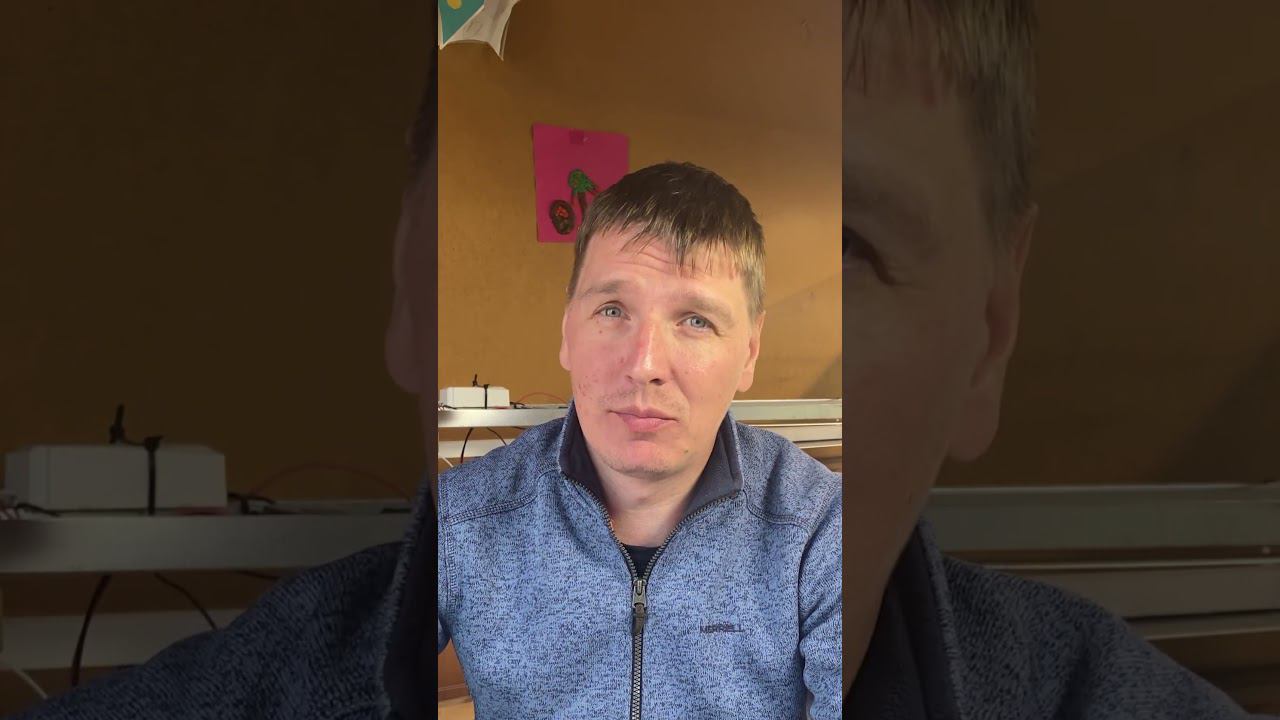 Хотите выращивать классную микрозелень? #огородкруглыйгод #микрозелень #гидропоника