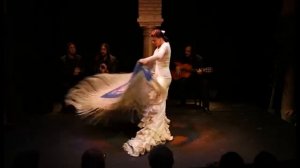 Фламенко. Танец с платком. Севилья.