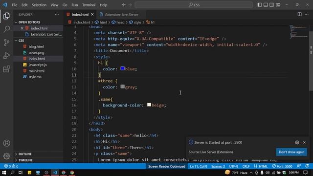 VS Code top 3 extensions | Miraz The Coder