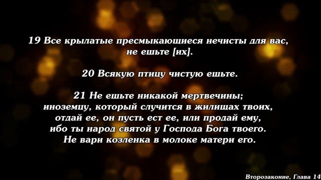 Библия | Второзаконие, Глава 14. смотреть онлайн