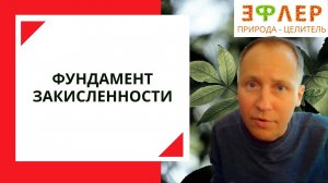 КАК УБИТЬ МИТОХОНДРИЮ? ВЫЖИМАЙ РАБА ИЗ СЕБЯ -ДАВИ ПАРАЗИТА! ЖИЗНЬ ЗДОРОВОЙ ЦЕЛОСТНОЙ ЩЕЛОЧНОЙ КЛЕТКИ