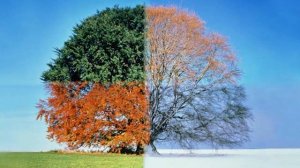 ДРЕВНЯЯ РУСЬ.  Славянский календарь до крещения.  Пётр первый и аннунаки.  Серия 4