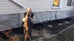 Поднять дом на домкратах и заменить фундамент: цена...