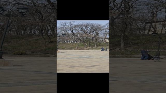 Прогулка по Курортному парку города Ессентуки март месяц.