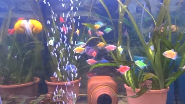 лэд светильник 60см смотреть онлайн