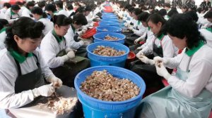 Северная Корея не Хочет чтобы Вы ЭТО Знали. Факты о КНДР