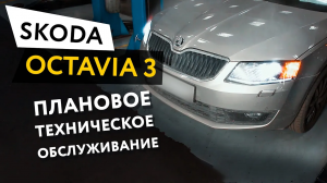 Плановое техническое обслуживание автомобиля Skoda Oсtavia 3 1,4 TSI