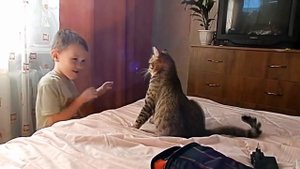 Малыш пукнул на кота за то что кот напал на него!!!