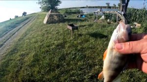 ВЫЕЗД НА НОВЫЙ ВОДОЕМ......ПЛАТНИК БЕЗ НАЗВАНИЯ